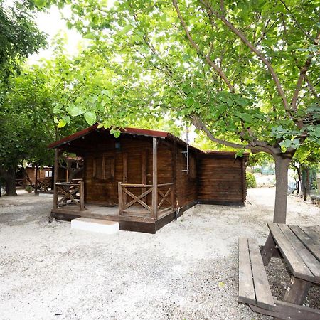 Cabanas Rurales - Las Taneas Йесте Экстерьер фото
